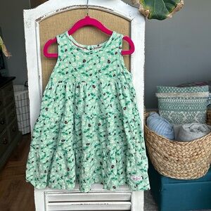 Girls size 4T bug dress